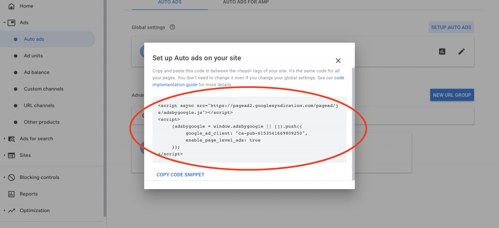 Google Adsense - how to configure auto ads?